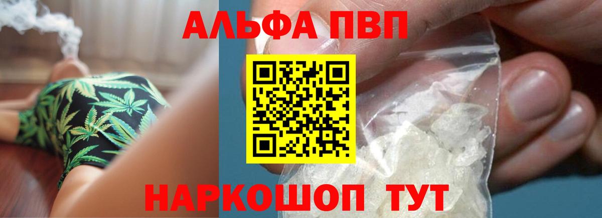 A PVP VHQ Курчалой