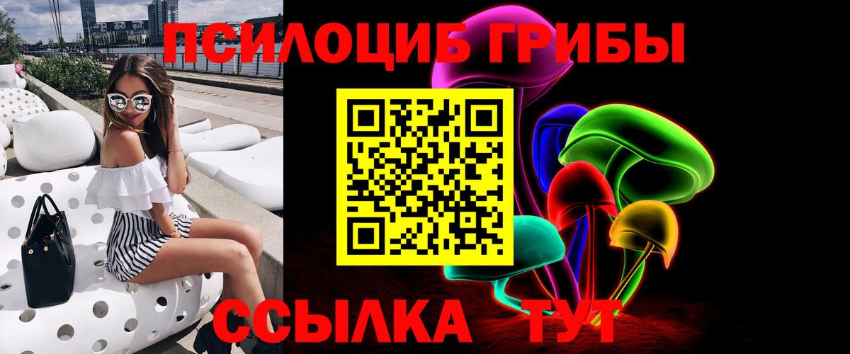 Псилоцибиновые грибы мухоморы Курчалой