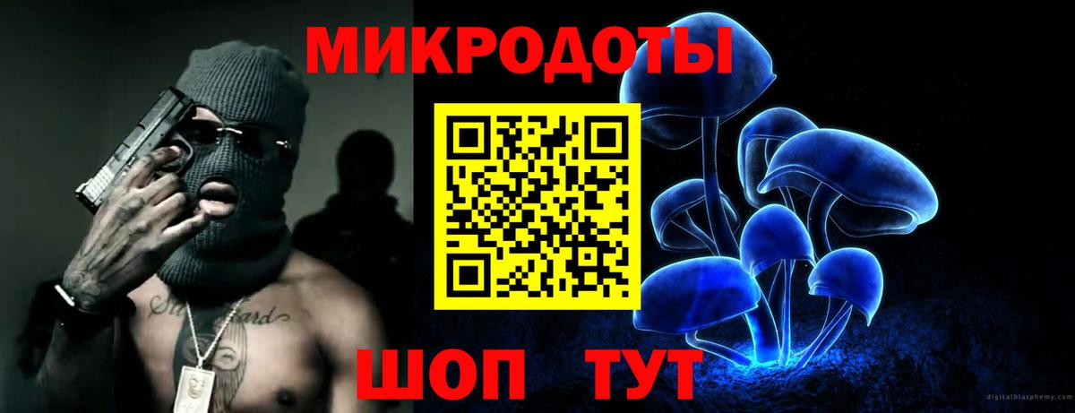 Курчалой  Псилоцибиновые грибы мухоморы  Галлюциногенные грибы прущие грибы  где найти   Вход с VPN 